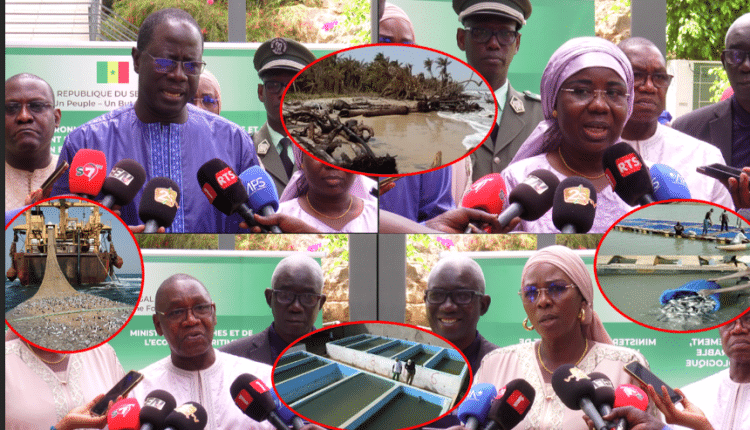 Vidéo-Gestion des ressources naturelles : Le SENREM procède au lancement de ses activités