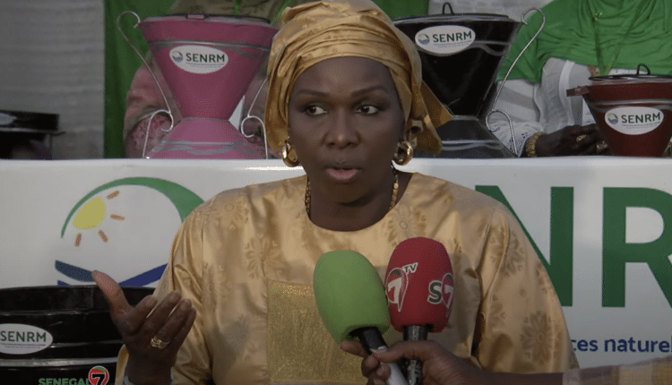 Vidéo - Foire internationale de Dakar : Le SENREM tire un bilan satisfaisant de sa participation