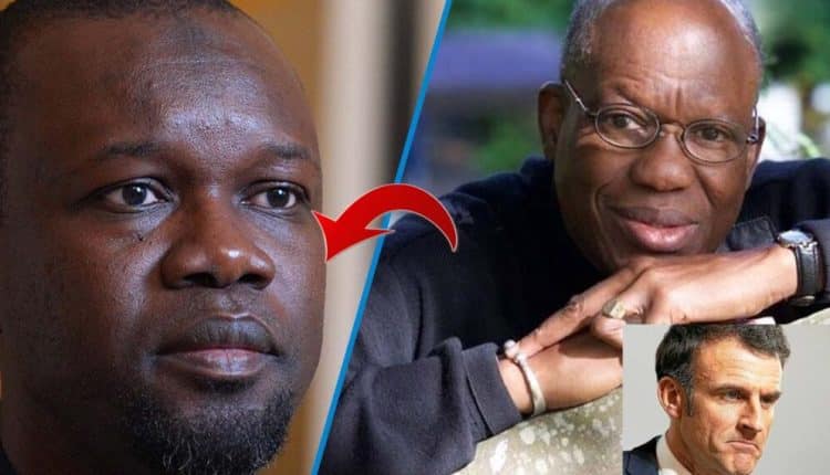 La France et l'Afrique la longue fidélité d'une amante d'ébène si spoliée (Amadou Lamine Sall)