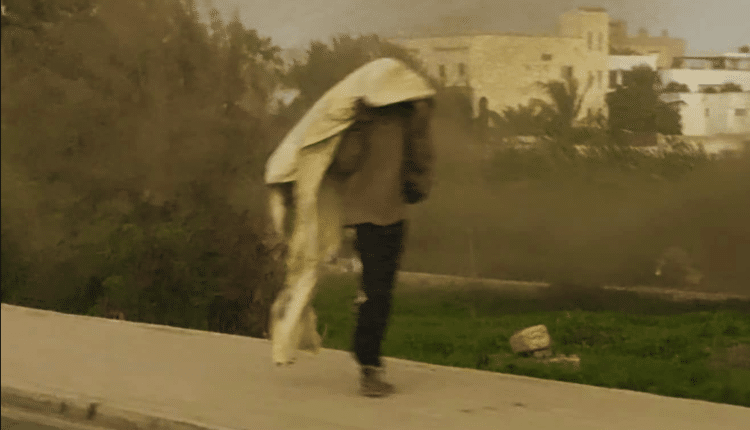 Technopôle : Une invasion de moustiques qui devient inquiétante ! (Par Boubacar Kambel DIENG)