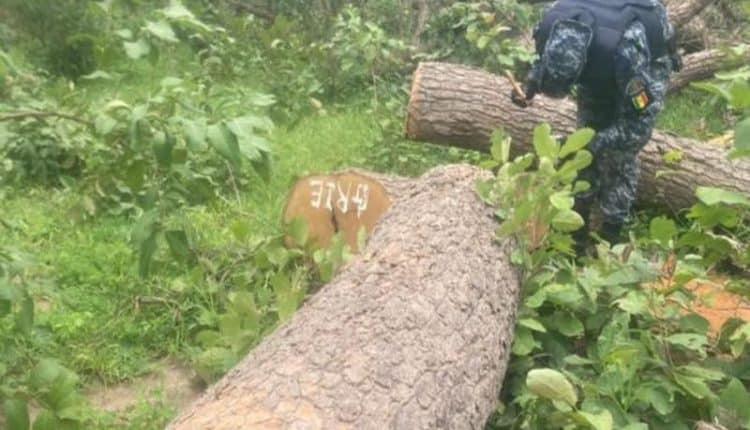 Missirah : Un camion transportant du bois dérape et fait 2 m0rts