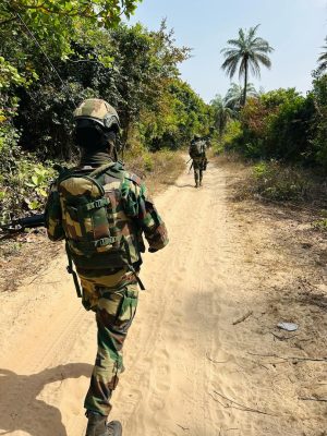 Îles Karone (Casamance) : Les Armées détruisent plusieurs champs de cha.... indien