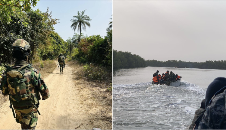 Îles Karone (Casamance) : Les Armées détruisent plusieurs champs de chanvre indien