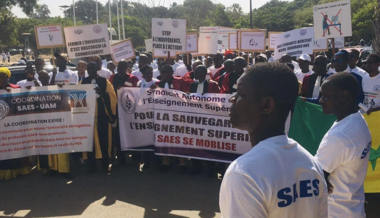 Enseignement supérieur : Le SAES décrète 72 heures de grève à partir de ce lundi