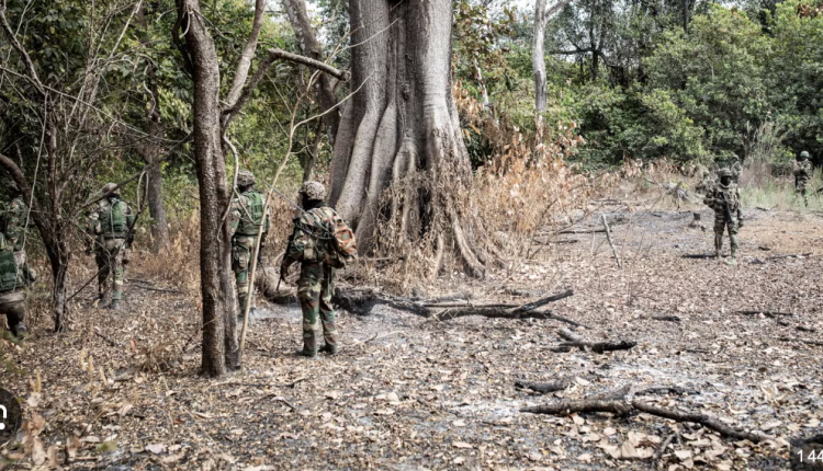 Accrochage en Casamance : Un soldat porté disparu et un autre blessé (DIRPA)