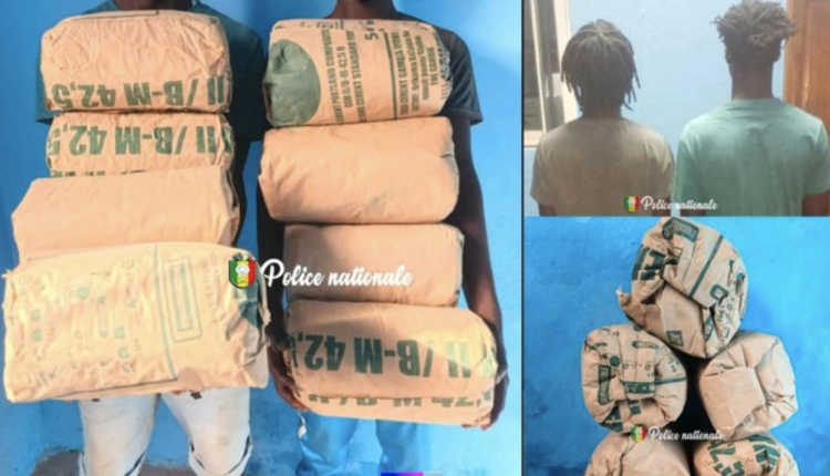 Ziguinchor : Deux individus arrêtés, 8 Kg de "Yamba" saisis