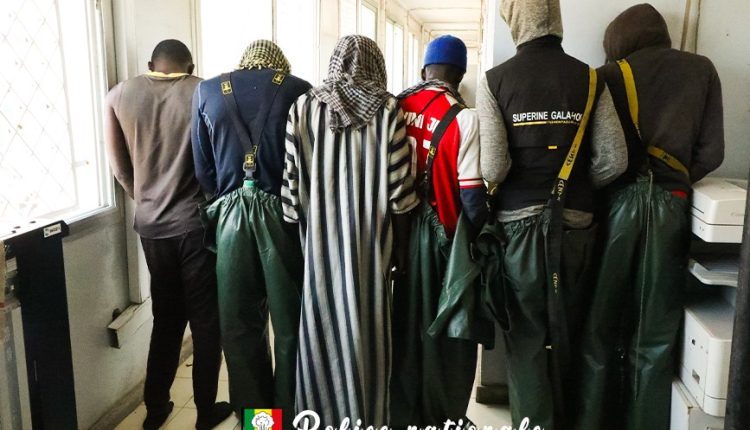 Somone : 8 individus arrêtés, 6 tonnes de produits prohibés saisis