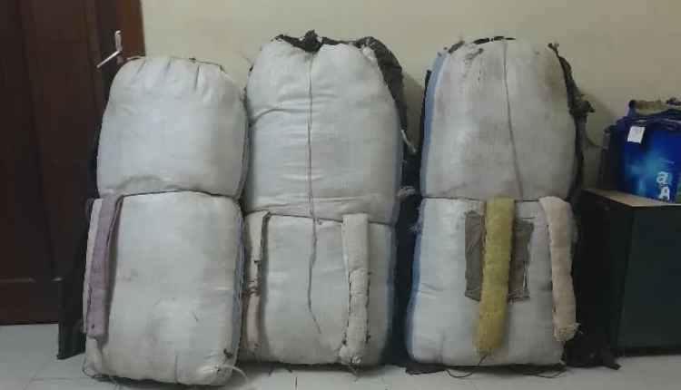 Louga : 103 kg de chanvre saisis par la Gendarmerie à Thiaméne Cayor