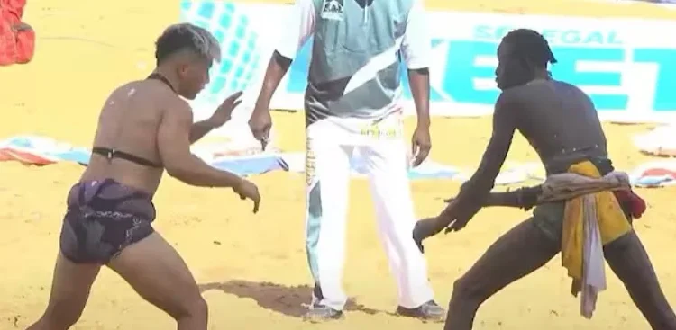 Lutte : Songo Tine bat Yawou Dial