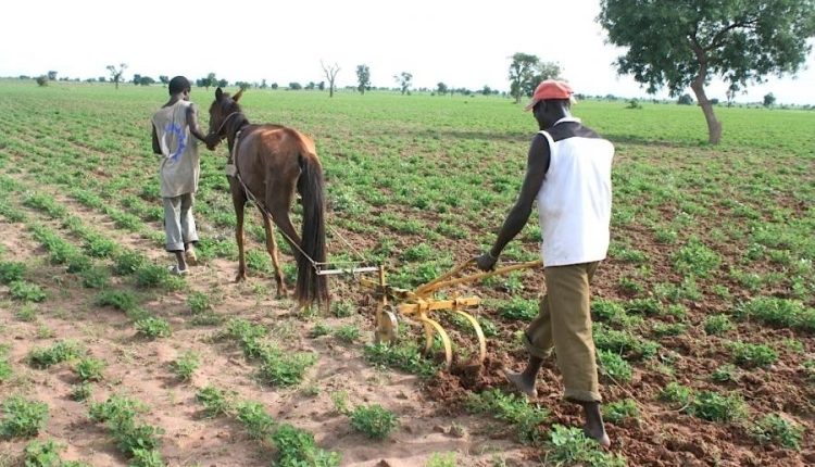 Une coalition interpelle le régime : "L’hivernage est déjà au rendez-vous mais où est le gouvernement ?"