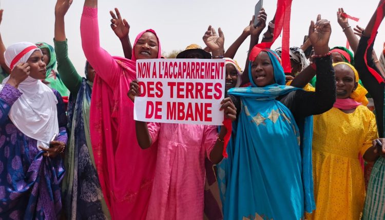 Mbane : Protestation contre l’attribution de plus de 1000 hectares de terres à la CSS