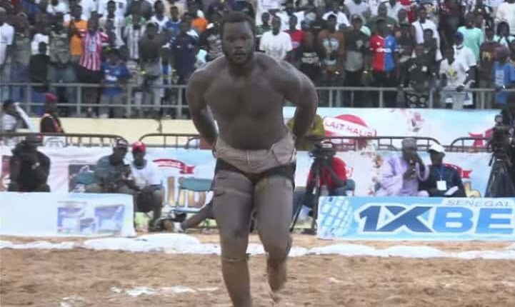 CLAF 2025 : Bébé Gouy Gui sacré champion après sa victoire sur Eumeu Jr