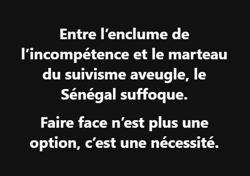 Thierno Bocoum : "Entre l’enclume de l’incompétence et le marteau du suivisme aveugle, le Sénégal suffoque"