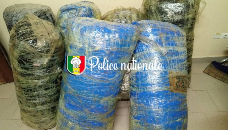 Mbour : Saisie de 245 kg de chanvre indien à Fadial