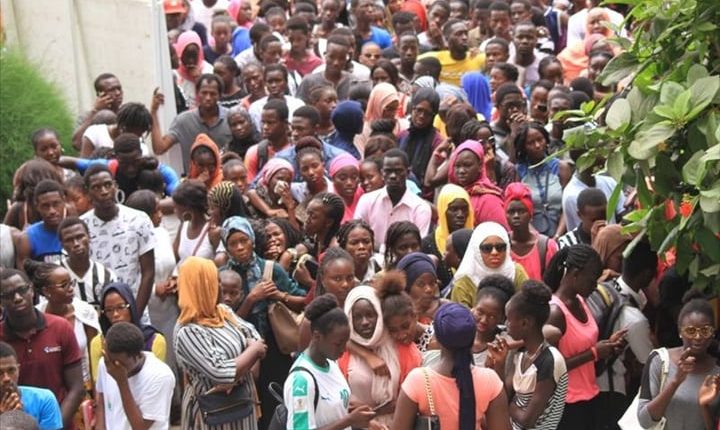 BFEM 2025 : Matam en tête avec un taux de réussite de 91,97 %