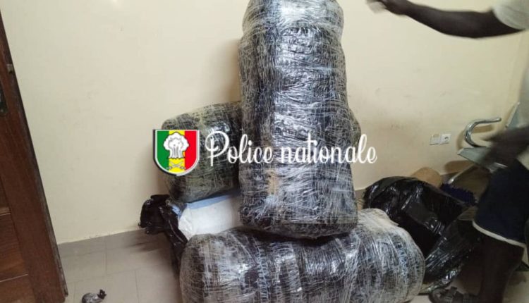 Ngazobil : saisie de 96 kg de stupéfiant par la BRS de Thiès