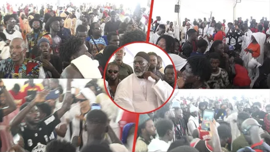 (Vidéo) Magal à Chicory : Les "Thiants" rythmés des Talibés de Borom Darou