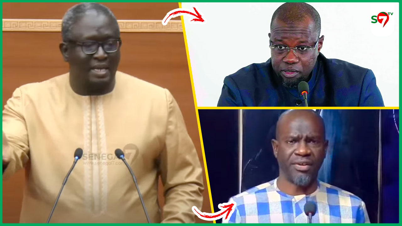 (Vidéo) Désinformation: Ayib Daffe charge Tounkara "faut des sanctions, sans aucune vergone... SONKO..."