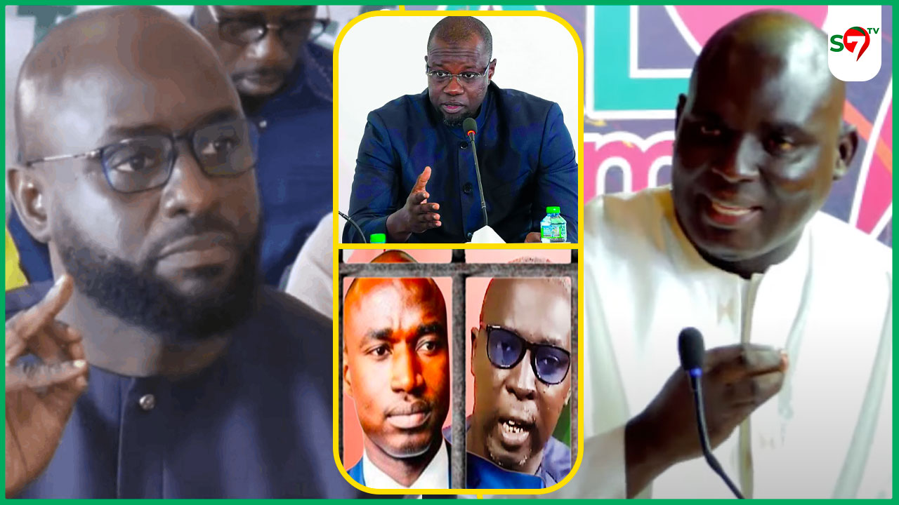 (Vidéo) "Offense à une personne exerçant les prérogatives du Chef de l'Etat": Me Abdy Nar Ndiaye fait la leçon à Thierno Bocoum