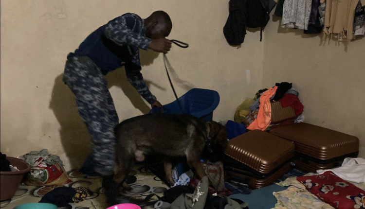 Opération coup de poing à Sangalkam : 20 interpellations et saisies pour lutter contre l’insécurité