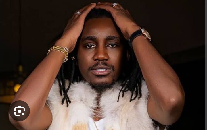 Wally Seck dans de beaux draps : Ibrahima Ba, Cheikh Tidiane Seck et Cie envoyés en prison