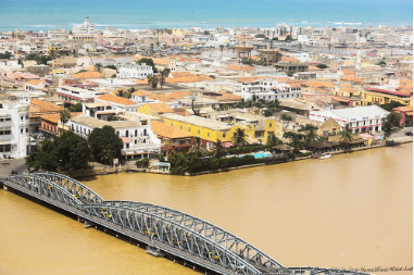 Saint-Louis totalise 54 cas de fièvre de la vallée du Rift pour 8 décès