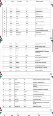 Diomaye Président : 213 organisations ont officiellement rejoint la coalition dirigée par Aminata Touré