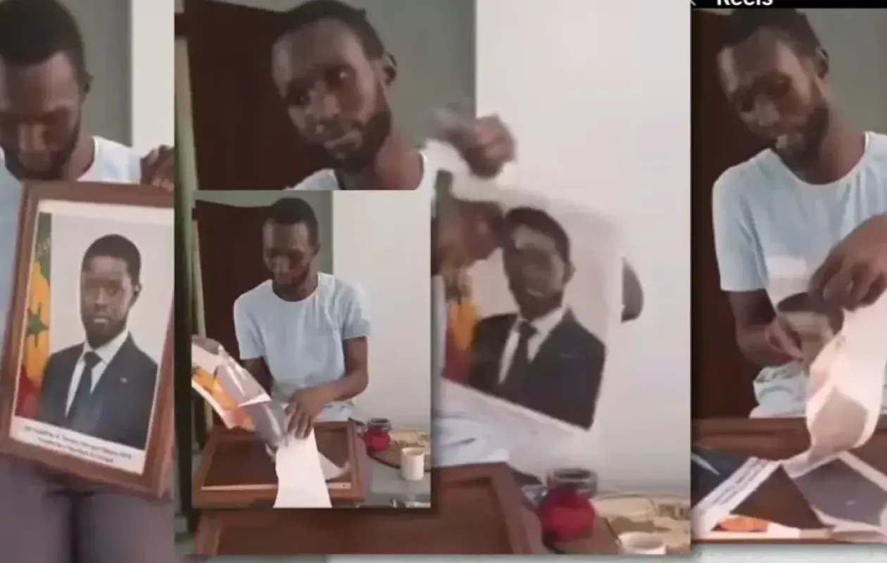 Photo de Diomaye déchirée : Bachir Syll placé en garde à vue pour offense au Chef de l'Etat...