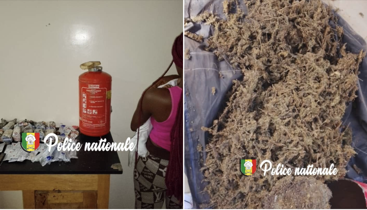 Kolda : une convoyeuse déférée après une importante saisie