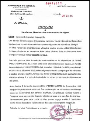 Maltraitance des Equidés : Le Ministre de l’Intérieur engage les Gouverneurs à mettre fin à ces pratiques