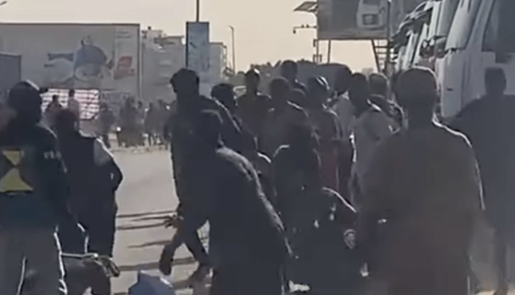 Agressions « Simol » : le lutteur Abdou Lô Sène placé en garde à vue