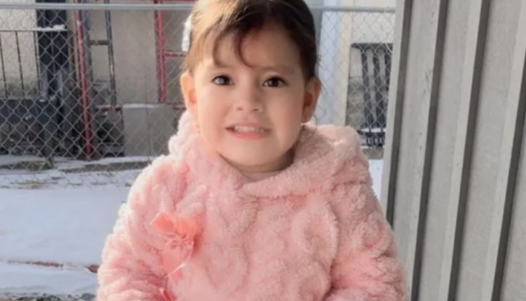 États-Unis : une fillette de 2 ans arrêtée par l’ICE au Minnesota