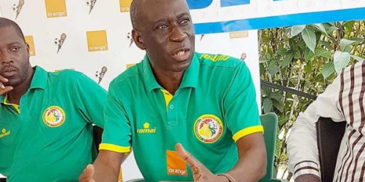 DTN : cinq profils en lice pour succéder à Mayacine Mar