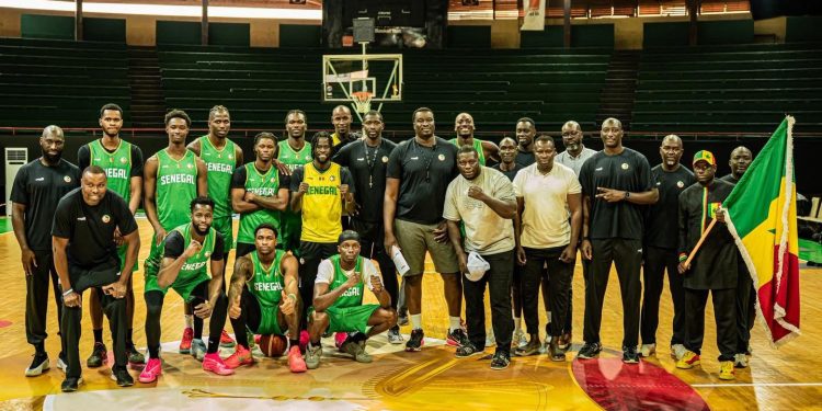 Coupe du monde FIBA 2027 : Les Lions prêts à rugir face à la Côte d’Ivoire