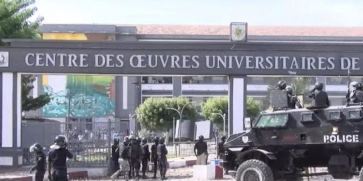 Violences à l’UCAD : L’étudiant Mourtala Diop, de la Faculté des Sciences arrêté