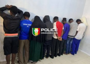Malika : Démantèlement d’un réseau de trafic de stupéfiants et de psychotropes