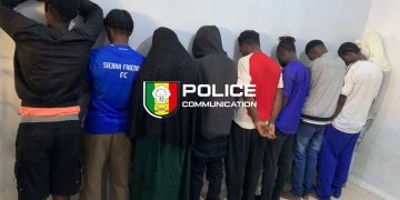 Malika : Démantèlement d’un réseau de trafic de stupéfiants et de psychotropes