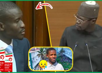 (Vidéo) UCAD: les conseils précieux du député Babacar Ndiaye à Me Bamba Cisse « Liniou Wara def Moy… »