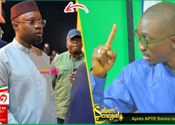 (Vidéo) – Sortie SONKO sur les contrats  – Abass Sow répond sèchement à l’opposition : »Faut Ñi Arrêté Fumisterie