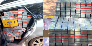 Koungheul : Près d’une tonne de faux médicaments saisie