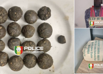 Ziguinchor : Deux individus arrêtés avec du haschich