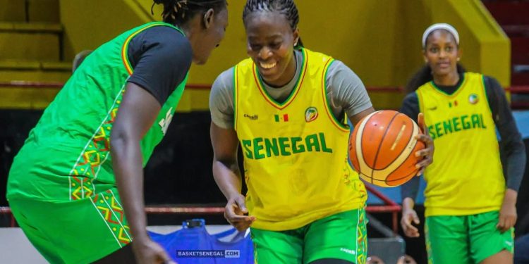 Qualifications à la Coupe du monde féminine : Les Lionnes peaufinent leur préparation pour Porto Rico