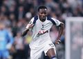 Ligue des champions : Pape Matar Sarr et Tottenham attendus ce soir en Espagne pour le match des huitièmes de finale aller contre l’Atlético Madrid