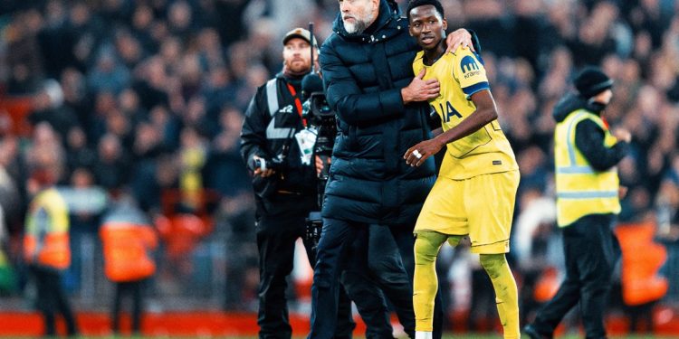 Ligue des champions : Pape Matar Sarr et Tottenham face à l’exploit contre l’Atlético