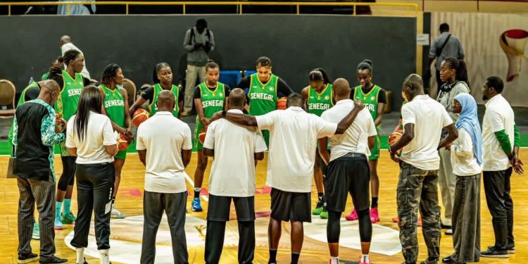 Basket – Qualif mondial 2026 : Le coach Cheikh Sarr fait appel à 13 joueuses !