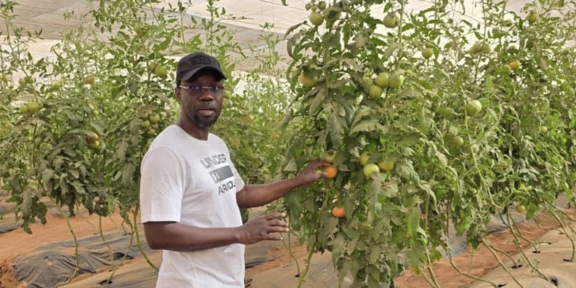 Réaction de Sonko après la sortie de Diomaye : « J’ai passé une excellente journée dans les champs »