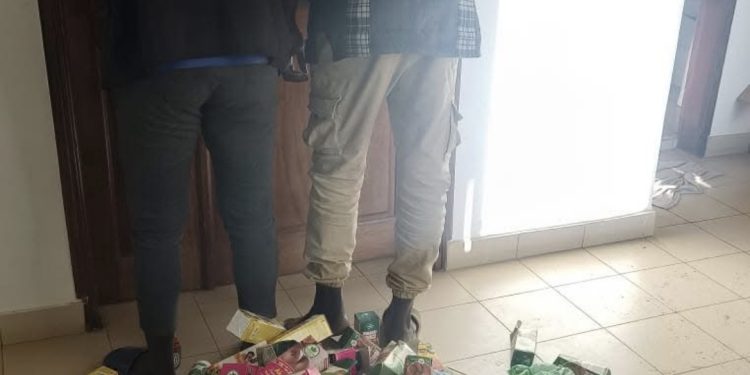 Justice : Démantèlement d’un dépôt illicite de médicaments contrefaisants à Thiaroye