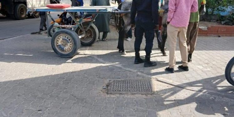 Dakar Plateau : Déguerpissement de pousse-pousse et autres objets encombrants