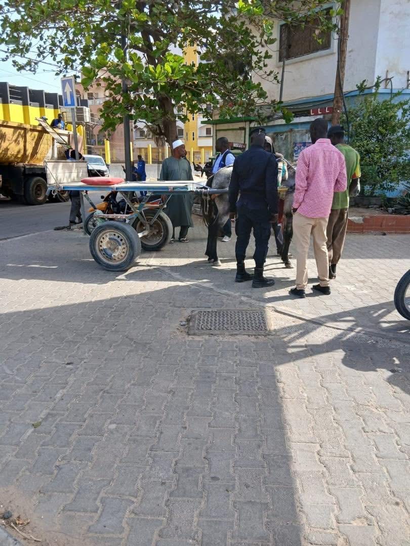 Dakar Plateau : Déguerpissement de pousse-pousse et autres objets encombrants