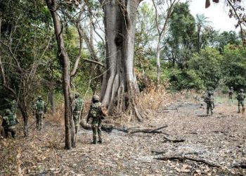 Casamance : Un militaire décédé et six autres blessés lors de violents affrontements dans le nord Sindian